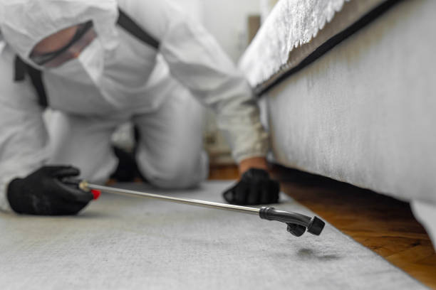 Professional Pest Control technician working in Danvers, IL