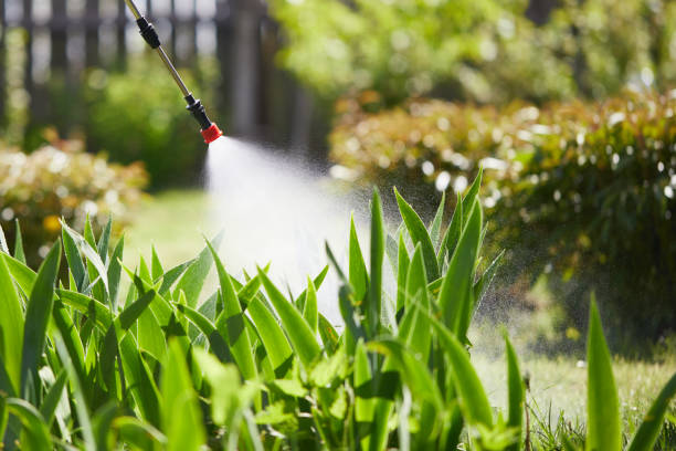 24/7 Emergency Pest Control experts in Danvers, IL