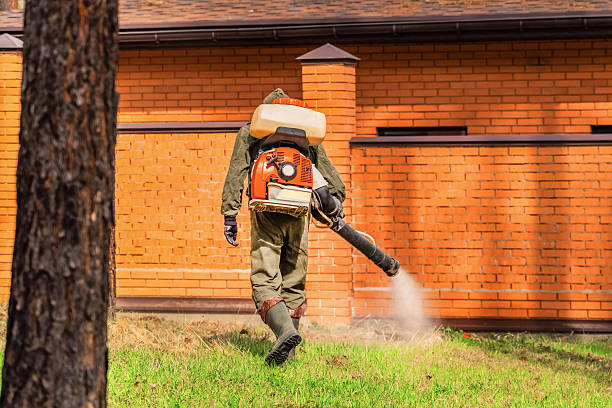 Top rated local Pest Control specialists in Danvers, IL
